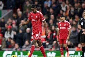 法国杯今晚再迎强敌，萨克拉门托国王回应争议，主帅态度：态度坚定，年轻球员得到机会的简单介绍爱游戏体育娱乐