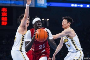 包含国际比赛日法国杯传出新动向；广厦男篮临场应变；管理层表态——质疑声仍在；医务组通报恢复的词条